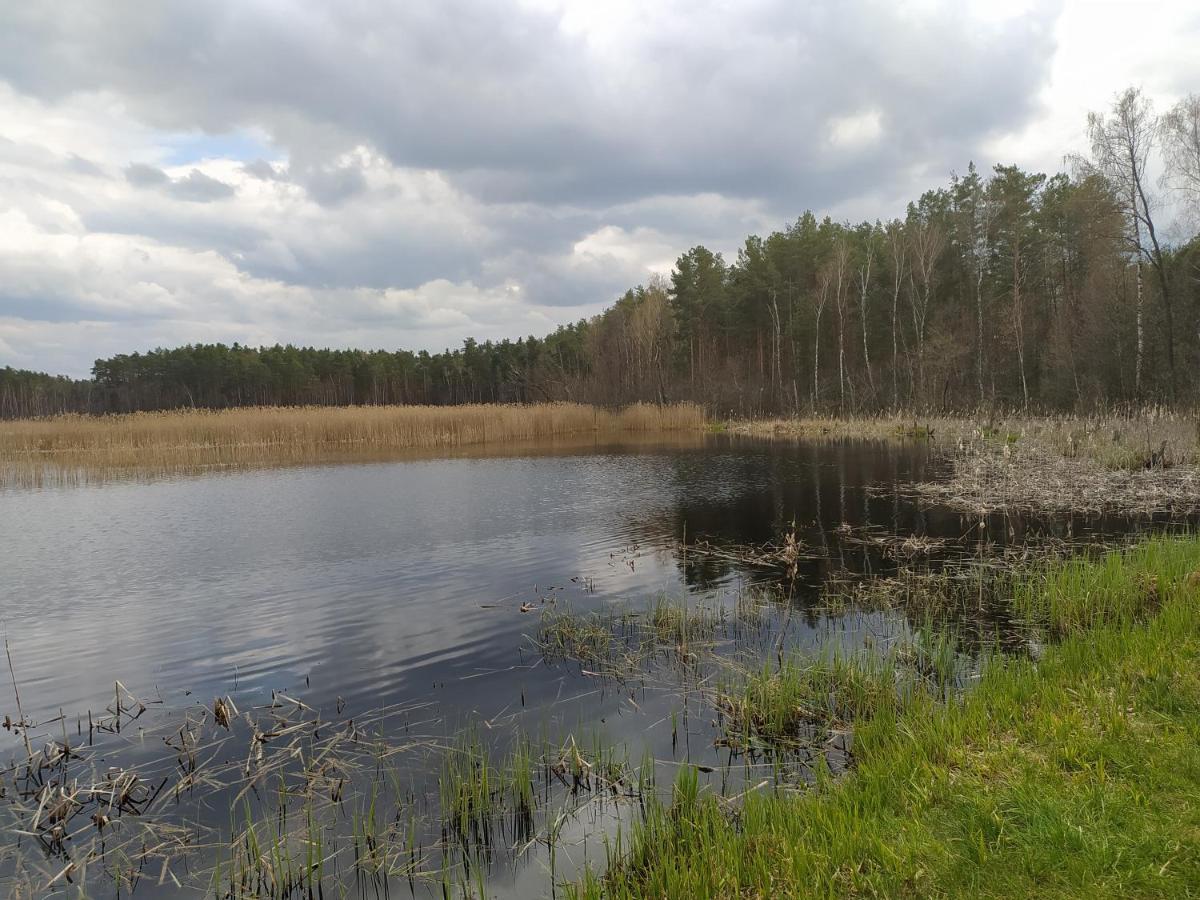 Gajowka Zlobek Villa Zlobek  Kültér fotó